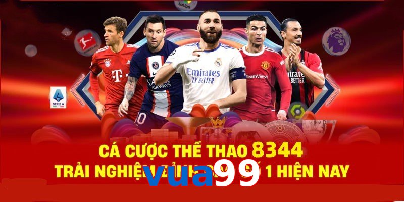 Đá Gà Philippines – Tinh Hoa Truyền Thống Và Thể Thao 